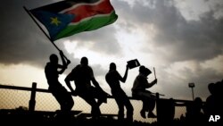 Southern Sudanese wave flags and cheer at the Republic of South Sudan's first national soccer match in the capital of Juba, July 10, 2011. 