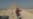 Upheaval Crushes Tourism in Egypt