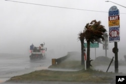 A work truck drives on Hwy 24 as the wind from Hurricane Florence blows palm trees in Swansboro N.C., Sept. 13, 2018.