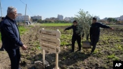 Palestinian farmers plant the first olive tree, part of the joint Freedom Farm project of the Palestinian Farmers Union and the Treedom for Palestine 2025 in memory of President Jimmy Carter, in the West Bank city of Tulkarem, Jan. 13, 2025.