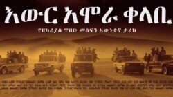 ቃለ መጠይቕ ምስ ደራሲን ዋና ተዋናይን ንዝኽሪ አሰቃቂ ጉዕዞ ሰሃራን ሲናይን ዝተዳለወ ፊልም “እውር ኣሞራ ቀላቢ”