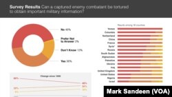 Survey: Views on Torture