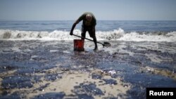 William McConnaughey, 56, who drove from San Diego to help shovel oil off the beach, stands in an oil slick in bare feet along the coast of Refugio State Beach in Goleta, California, United States, May 20, 2015. A pipeline ruptured along the scenic Califo