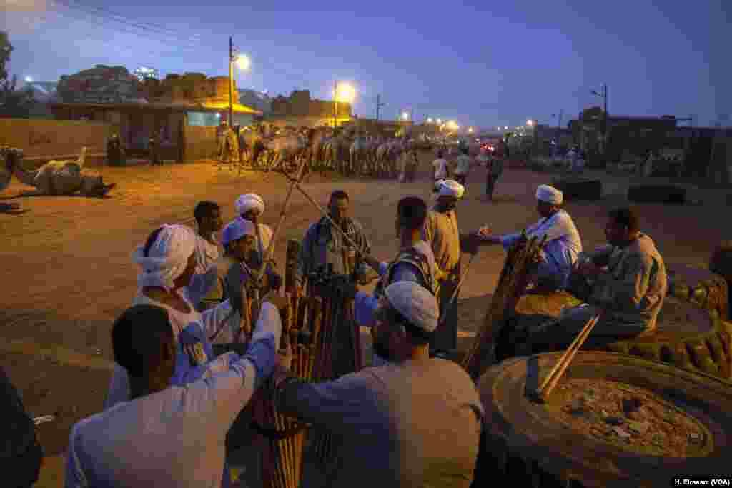 Selling sticks to beat the camels is a business that thrives on the sidelines of the market. 