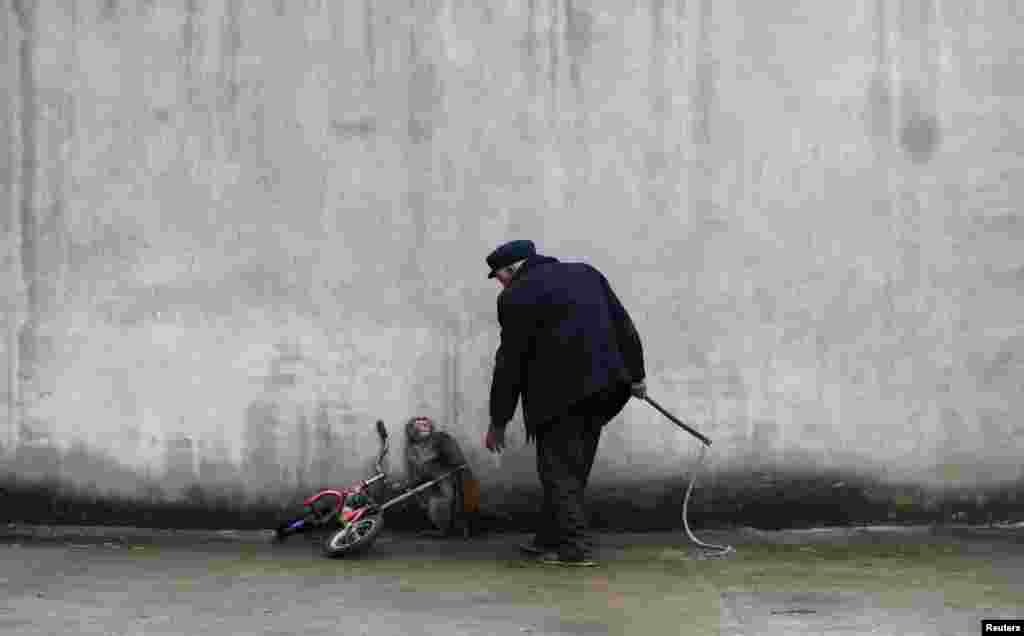 A monkey cowers as its trainer Qi Defang approaches during training for a circus in Suzhou, Anhui province, China, Nov. 29, 2014.