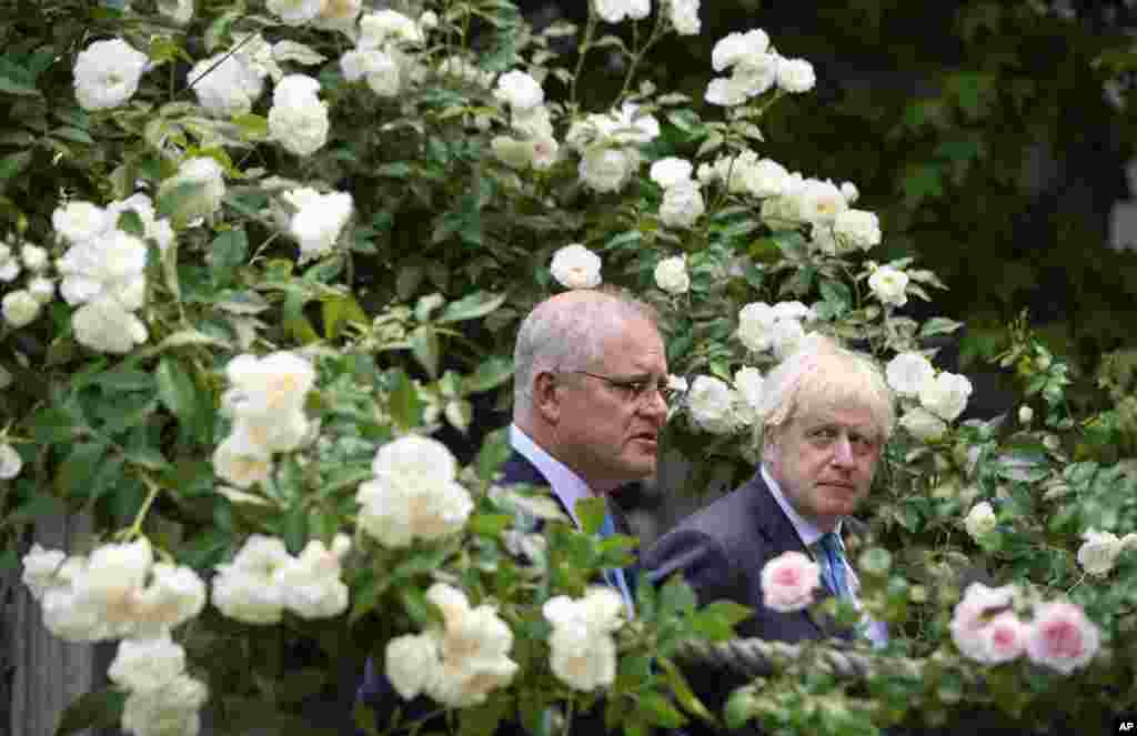 Britanski premijer Boris Džonson, desno, šeta sa australijskim premijerom Skotom Morisonom u bašti rezidencije u ulici Dauning Strit, broj 10. 15. juni, 2015. ( Foto: Dominik Lipinski / Pool via AP )