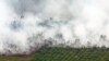 Kebakaran hutan yang terlihat di dekat perkebunan kelapa sawit di Kabupaten Tanah Putih di Rokan Hilir, Provinsi Riau, 21 Februari 2017. (Foto: Antara/FB Anggoro via REUTERS)