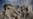 UN Deplores 'Awful' Carnage in Yemen From Saudi Coalition Airstrikes