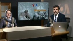 بي بي شیرینه – د ډیوه ریډیو په ټی وي خپرونه