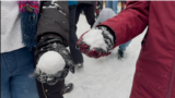 Snowball fight, Washington, DC