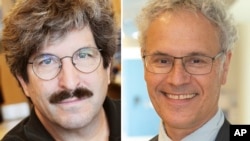 Gary Ruvkun (esq) e Victor Ambros (dir), premiados com o Nobel de Medicina de 2024