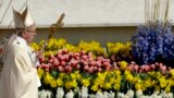 Pope Francis walks past flowers as he celebrates the Easter Mass, in St. Peter's Square, at the Vatican, April 16, 2017. 