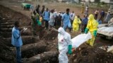Health workers carry the body of an Ebola victim for burial at a cemetery in Freetown, December 17, 2014. The death toll in the Ebola epidemic has risen to 6,915 out of 18,603 cases as of Dec. 14, the World Health Organization (WHO) said on Wednesday. Th