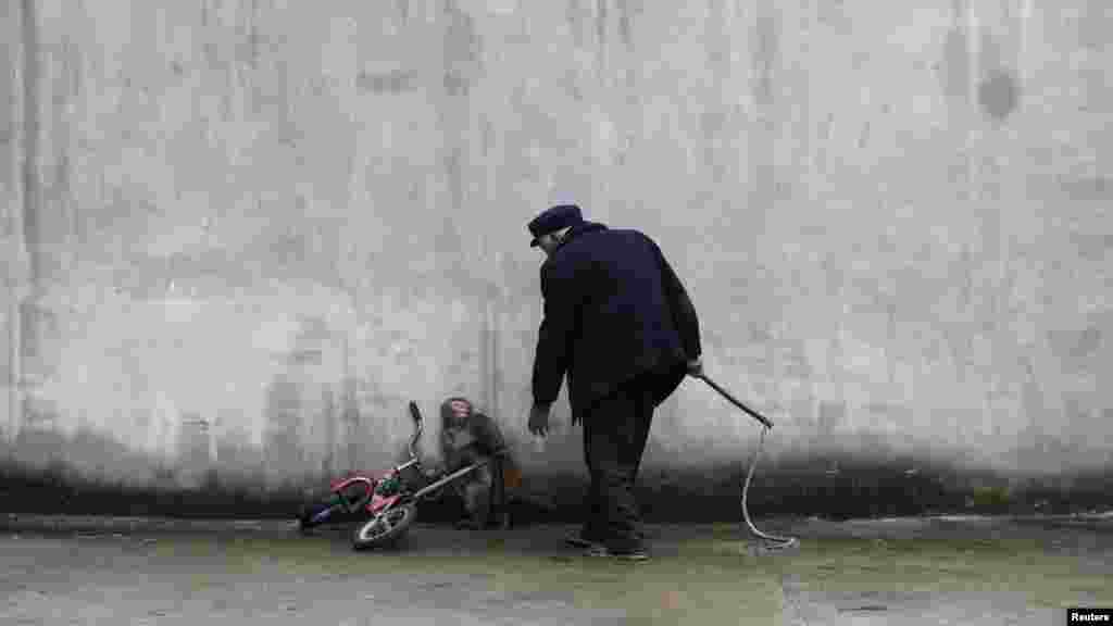 Un singe se recroqueville pendant son entraîneur Qi Defang approche lors de la formation pour un cirque à Suzhou, province de l'Anhui, 29 novembre 2014.