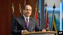 Egypt's President Abdel Fattah al-Sisi speaks at the "G20 Investment Summit" in Berlin, Germany on Nov. 19, 2019. 