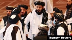 FILE - Taliban peace negotiators in Qatar.