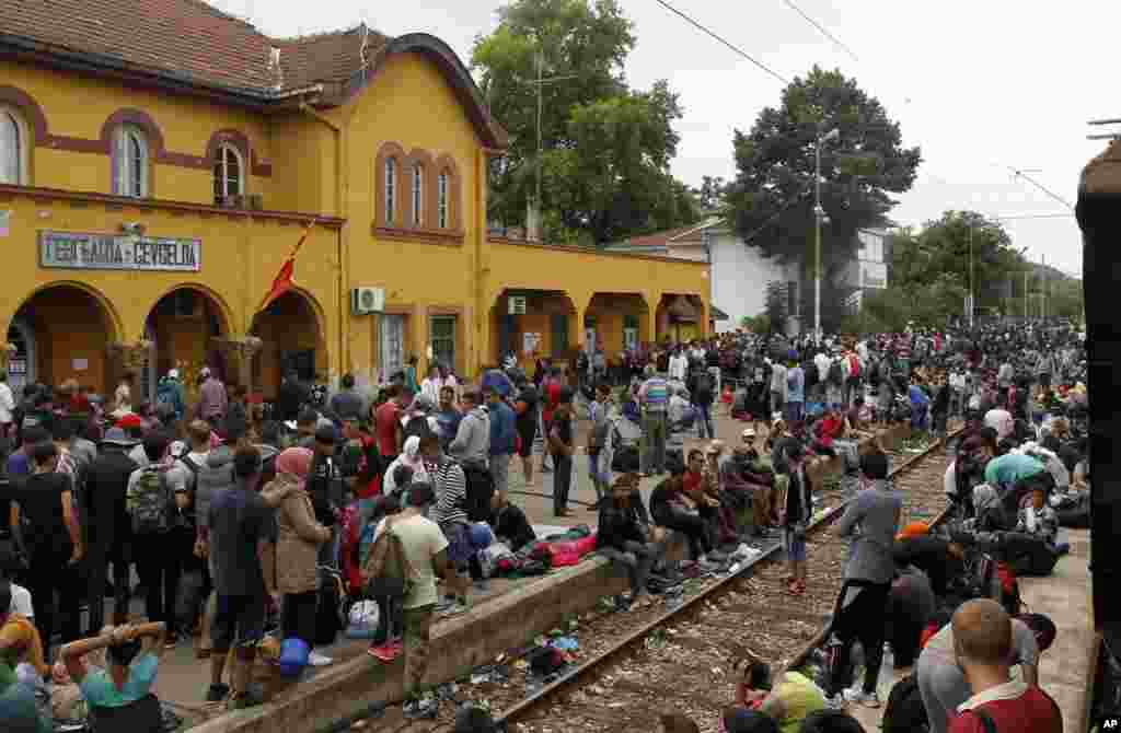 Macedonia Migrants