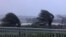 Trees are buffeted by strong winds as Hurricane Isaias hits the Bahamas, July 31, 2020, in this still image taken from social media video, shot at Emerald Bay, Great Exuma. (Jeff Todd/via Reuters)