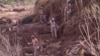 Soldiers from the Spanish Parachute Squadron (EZAPAC) look for bodies after floods in Barranco del Poyo, Spain, Nov. 5, 2024. 