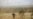 Locusts, COVID-19 Combination Pose Dire Threat to East Africa