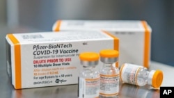 FILE - This October 2021, photo provided by Pfizer shows kid-size doses of its COVID-19 vaccine in Puurs, Belgium. (Pfizer via AP, File)