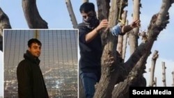 رضا دالمن، دانشجوی کارشناسی ارشد مهندسی کامپیوتر دانشگاه صنعتی شریف