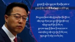 རྒྱ་གཞུང་གིས་ཕྱིའི་རྒྱལ་ཁབ་ཏུ་བྲོས་བྱོལ་ལ་ཕྱིན་པ་དག་ཕྱིར་རྒྱ་ནག་ཏུ་བཙན་ཁྲིད་བྱ་རྒྱུའི་འཆར་གཞི།