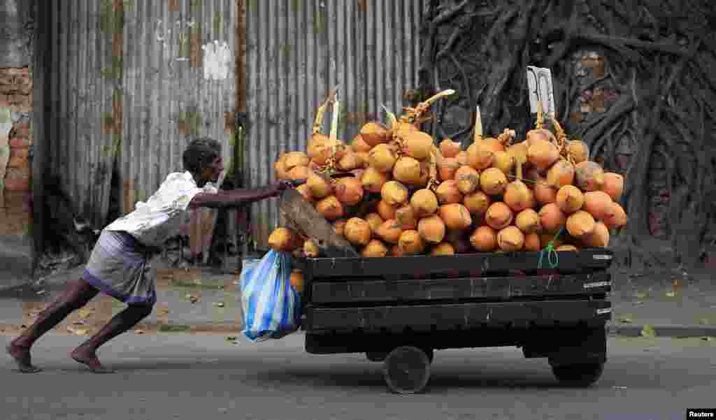 A vendor pushes his cart loaded with king coconuts towards the main market in Colombo, Sri Lanka. 