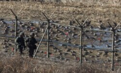 FILE - South Korean soldiers walk past birds as they patrol along a barbed-wire fence near the Demilitarized Zone, which separates the two Koreas, in Paju, north of Seoul, March 11, 2013.