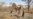 South Sudan Sexual Violence on 'Massive Scale,' Report Says