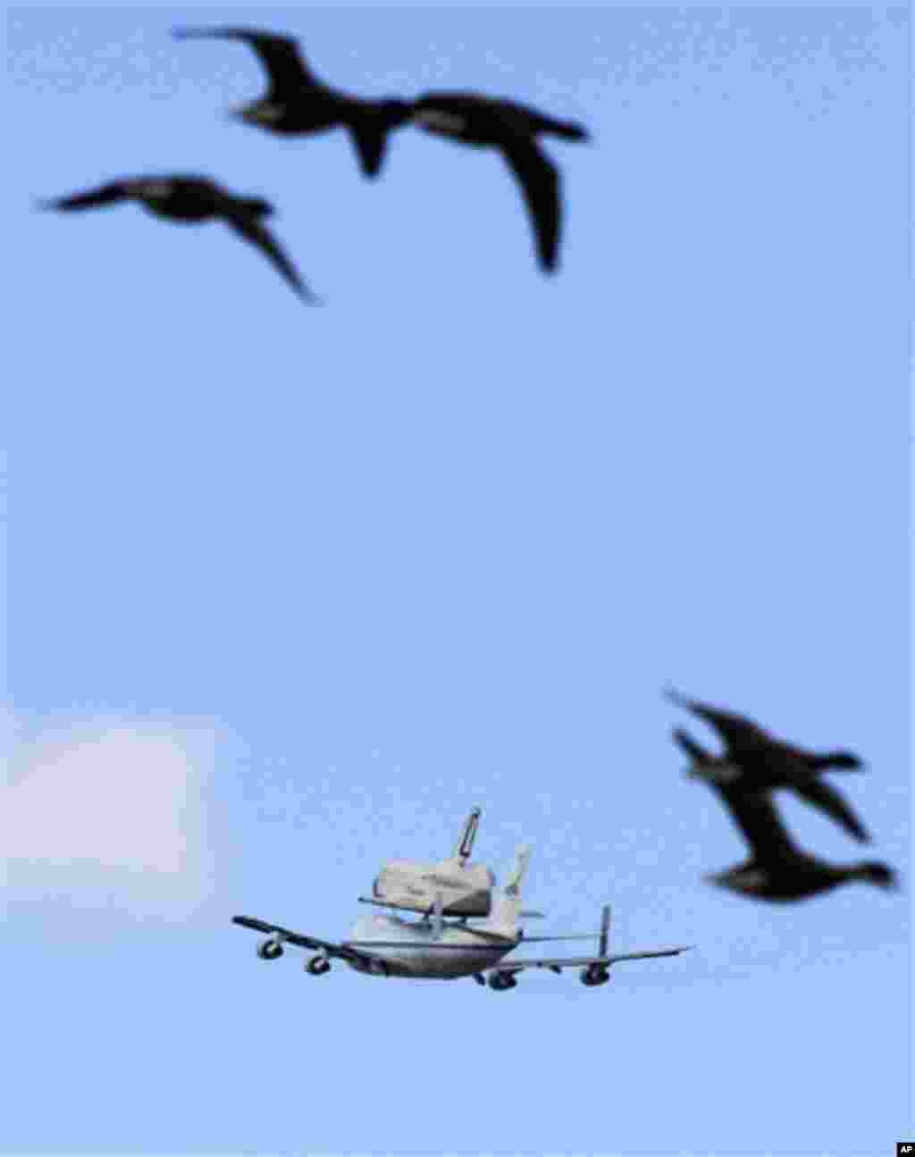 Geese fly as the space�shuttle Enterprise, riding on the back of the NASA 747 Shuttle Carrier Aircraft, flies past in Jersey City, N.J., Friday, April 27, 2012. (AP Photo/Mel Evans)