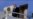 16x9 Image