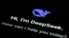 DeepSeek 应用示意图。(2025年1月28日)