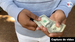 Un ciudadano cuentas billetes de dólares en Caracas, Venezuela. ]Foto: Captura de video]