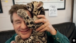 Joel Sartore and a clouded leopard cub cuddle after a photo shoot at the Columbus Zoo in Ohio. The leopards, which live in Asian tropical forests, are illegally hunted for their spotted pelts. (Photo by Grahm S. Jones/National Geographic Photo Ark)
