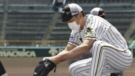 Hanshin Tigers manager Akihiro Yano wearing a face mask puts dirt he collected from the grounds into a bag at Koshien Stadium in Nishinomiya, western Japan, Tuesday, June 16, 2020.