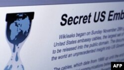 Wikileaks ABŞ hökumətinin İran aliminin beynəlxalq iqlim dəyişikliyi heyətinə üzv seçilməsinə mane olduğunu bildirir