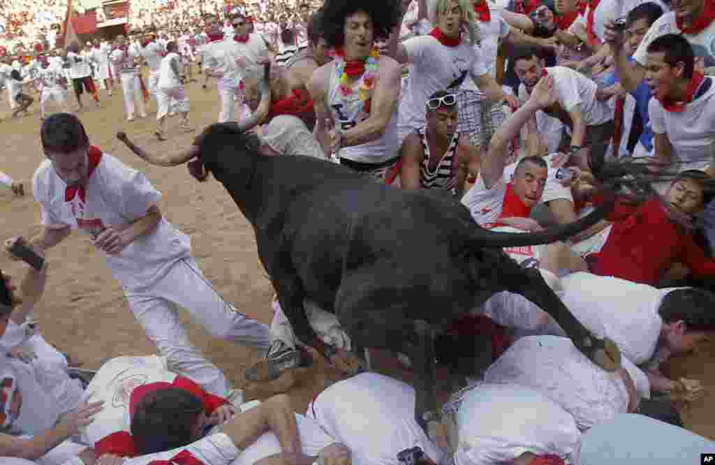 Revelers are trampled by a Torrestrella ranch bull at the bull ring at the end of fifth running of the bulls, at the San Fermin fiestas, in Pamplona northern Spain, July 11, 2013.
