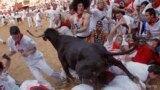 Revelers are trampled by a Torrestrella ranch bull at the bull ring at the end of the fifth running of the bulls, at the San Fermin fiestas, in Pamplona, northern Spain.