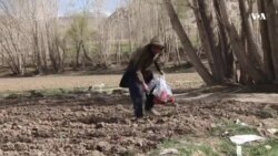 اصغر: جوانان با دیدن معتادان باید عبرت بگیرند