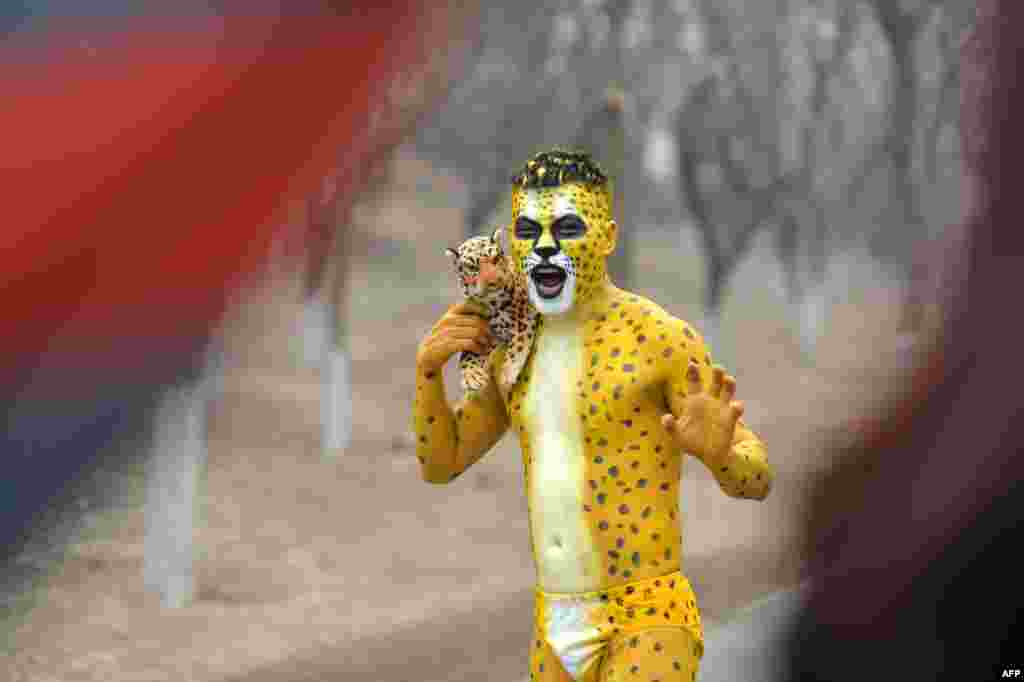 A participant dressed up as a leopard posing for a photo in the annual 3.5 km Undie Run held in the Olympic Forest Park smog-covered Beijing, China, Feb. 23, 2014.. 