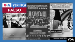 Capturas de videos con desinformación relacionadas con el presidente de EEUU, Donald Trump, que circulan en TikTok con cientos de visualizaciones.