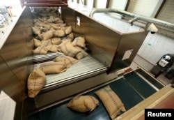 FILE - A container of green coffee beans from Ethiopia is unloaded at the Nespresso production plant, part of food giant Nestle, in Romont, Switzerland, Aug. 30, 2016.