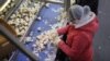 Trade War is Good for California’s Garlic Growers