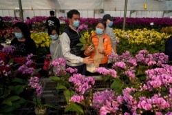 Customers wearing face masks to protect against the spread of the coronavirus, look at pots of Phalaenopsis orchids at one of Hong Kong's largest orchid farms located at Hong Kong's rural New Territories on Jan. 14, 2021.