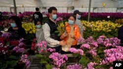 Customers wearing face masks to protect against the spread of the coronavirus, look at pots of Phalaenopsis orchids at one of Hong Kong's largest orchid farms located at Hong Kong's rural New Territories on Jan. 14, 2021. 