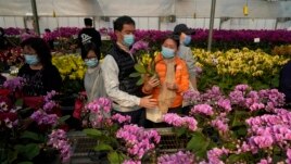 Customers wearing face masks to protect against the spread of the coronavirus, look at pots of Phalaenopsis orchids at one of Hong Kong's largest orchid farms located at Hong Kong's rural New Territories on Jan. 14, 2021.