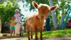 Настоящее Время. Америка – 26 апреля 2019