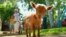 Настоящее Время. Америка – 26 апреля 2019