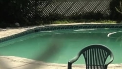 1992洛杉磯暴亂導火線人物羅德尼•金去世